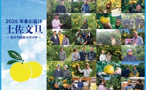 ☆すくも産土佐文旦（2026年春お届け分）ご予約☆受付開始！