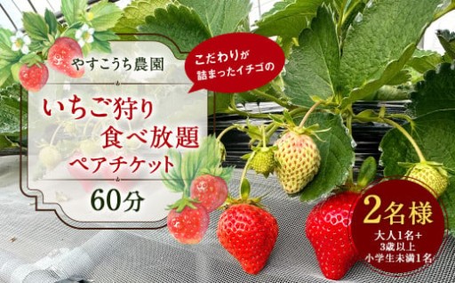 いちご狩り 食べ放題ペアチケット60分