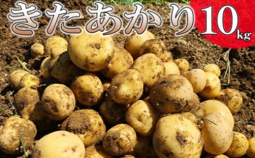 人気です！八幡平市産じゃがいも「きたあかり」★
