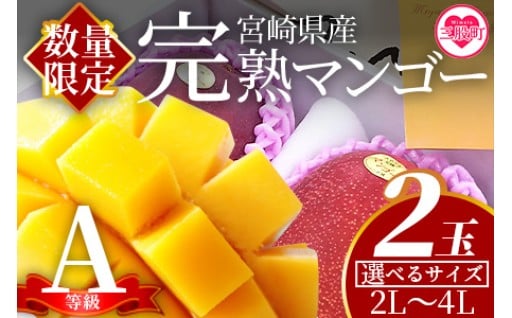 【2026年産の受付を開始しました！】	