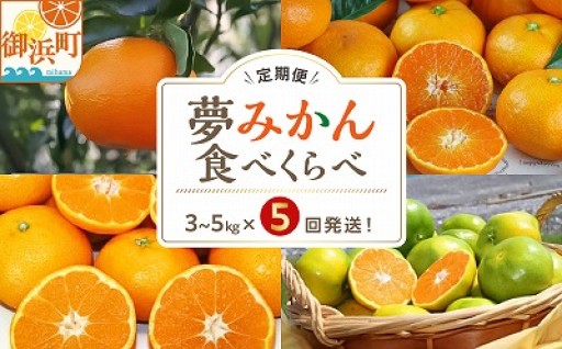 【🍊旬のみかんを食べくらべ！🍊】アグリの夢みかん食べくらべ（全5回）