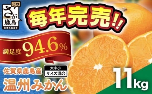 佐賀県鹿島産 温州みかん 約11kg 佐賀県 鹿島市 B-99