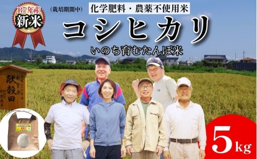 人にも、環境にも優しいお米「いのち育むたんぼ米」