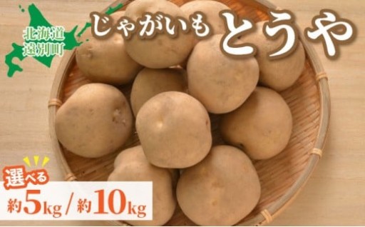 ＜選べる容量＞【2025年産】遠別産 じゃがいも（とうや約5~10㎏）