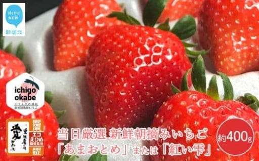 先行予約開始！苺「あまおとめ」または「紅い雫」 