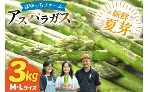 新鮮直送！はゆっちFarmの夏芽アスパラガス