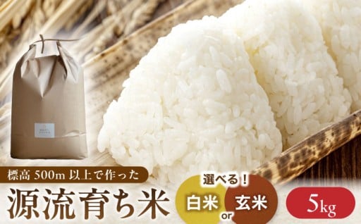＜新米 予約＞R7年度産 お山のお米 5kg