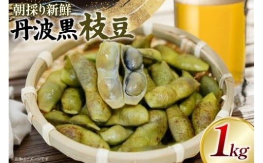 朝採り新鮮な丹波黒枝豆！