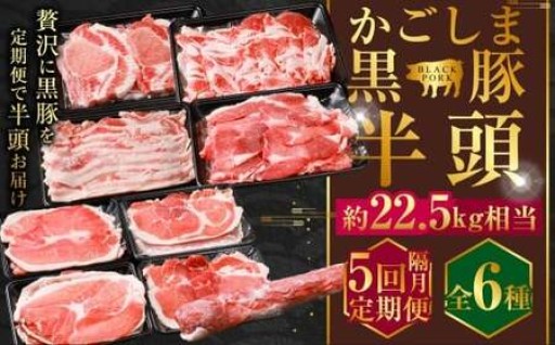 【隔月5回定期便】かごしま黒豚半頭 合計約22.5kg