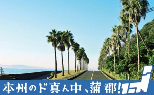 蒲郡市の魅力が詰まったお礼の品の数々をご覧ください！