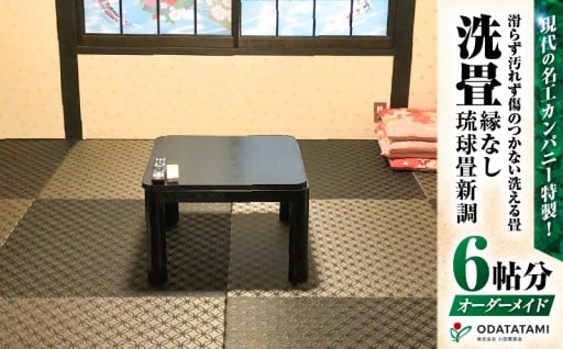 ペット・介護用　滑らず汚れず傷のつかない洗える畳『洗畳』縁無琉球畳新調6帖サイズ（畳半帖サイズ12枚）