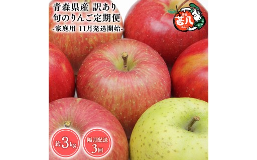 11月発送開始　隔月定期便3回訳ありりんご３kg