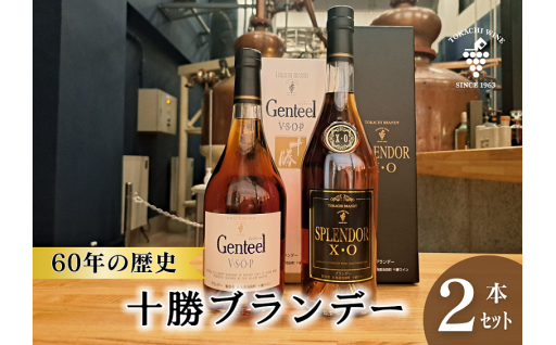 本格派ブランデー志向のあなたへ～熟成15年