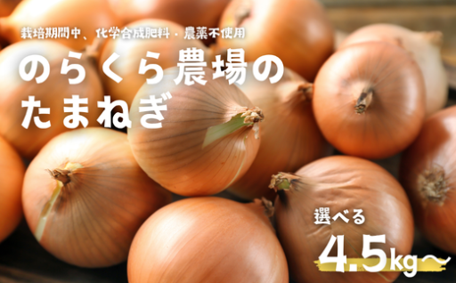 🌱栽培期間中、化学合成の肥料や農薬を使わずに育てたのらくら農場のこだわり玉ねぎ🧅✨
