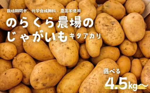🌱栽培期間中、化学合成の肥料や農薬を使わず育てた**のらくら農場のじゃがいも（キタアカリ）**🥔✨