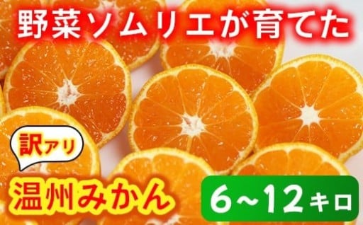 【訳あり・規格外品】温州みかん＜内容量が選べる＞