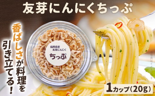 パリっと香る!友芽にんにくちっぷ