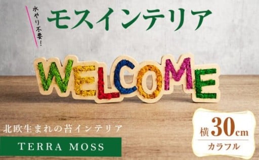 モスインテリア「WELCOME」(カラフル) ＜横300mm・高さ80mm・幅15m＞