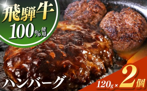 飛騨牛 100% ハンバーグ 120g 【 選べる 個数 】