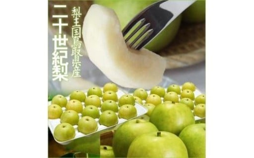 【人気返礼品・リピート多数】鳥取県産 二十世紀梨5kg 訳あり～フォーシーズン～