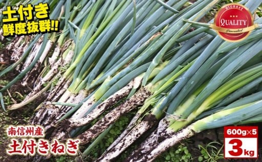土付きねぎ　3kg(600g×5袋) 