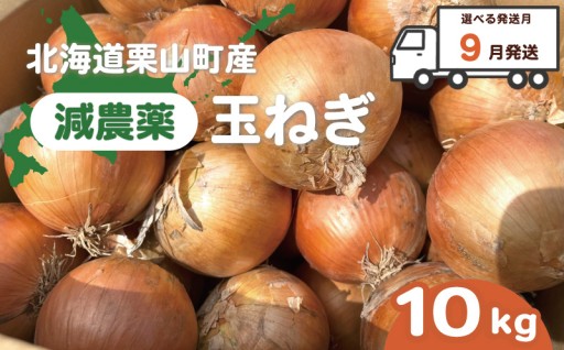 【発送月が選べる】北海道栗山町産 減農薬玉ねぎ