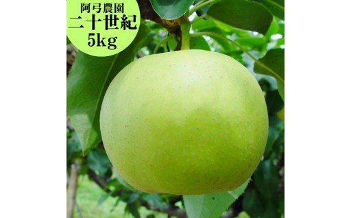 受付終了間近　阿弓農園二十世紀梨