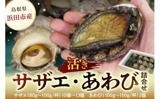 ✨新鮮なままお届け🚚豪華サザエ・あわび詰合せ🐚🦪