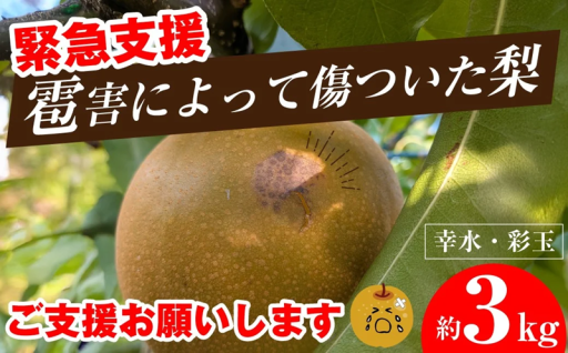 【緊急支援】雹害で傷がついた梨をおいしく食べて応援！