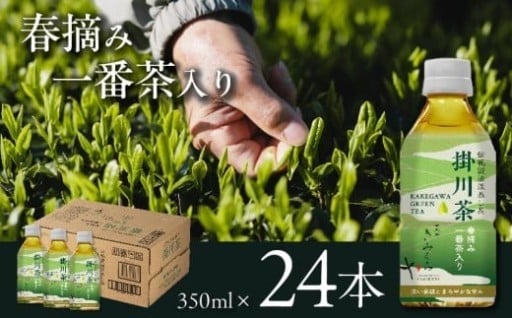 掛川茶 ペットボトル350ml×24本～伝統製法深蒸し茶～