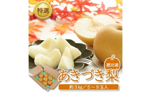 甘くて、ジューシーな「あきづき梨」をぜひどうぞ✨