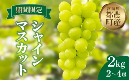 【宮崎県都農町】👑ぶどうの王様👑『シャインマスカット🍇』計2kg