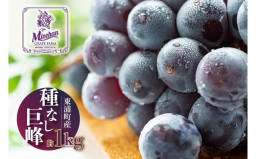 ✨🍇東浦町産 種なし巨峰・約1kg🍇✨
