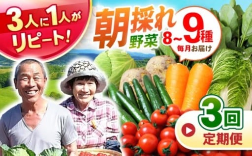 野菜定期便 【全3回定期便】諫早産野菜の詰め合わせ 8〜9品目程度