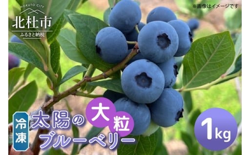 【大粒】山梨県産（明野産）冷凍　ブルーベリー1,000g