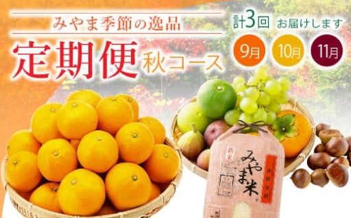 季節の逸品 秋