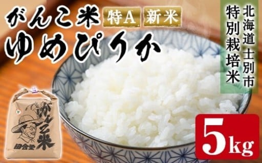 ＜令和7年産 新米 先行予約！＞田舎塾特別栽培米「がんこ米ゆめぴりか」(5kg)