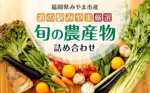 旬の農産物セット