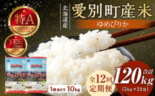 愛別町産米（ゆめぴりか5kg×2袋）12ヶ月定期配送【A18306】