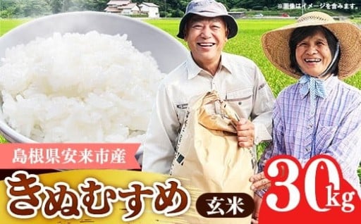 【おいしいお米グランプリ 第1位を受賞】きぬむすめ 玄米 30kg【島根県安来市産】