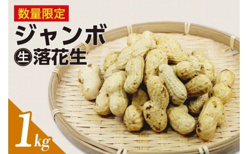 【先行予約】【9月下旬から順次発送】✨🥜ジャンボ生落花生 1kg🥜✨