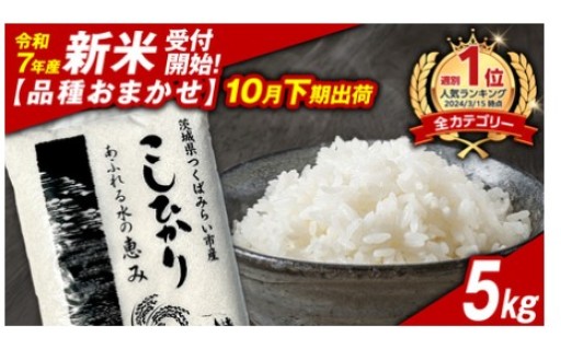 ＼ 新米先行予約 ／【10月下期出荷】品種おまかせ 5kg