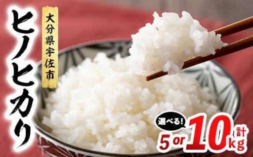  ヒノヒカリ 白米 (計5kg or 10kg) 