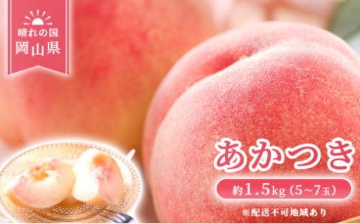 岡山県産 あかつき 約1.5kg(5～7玉) 《2026年7月上旬-中旬頃出荷》