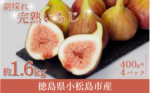 旬のいちじくをお届けいたします！朝採れたばかりの完熟の実をお楽しみ下さい。