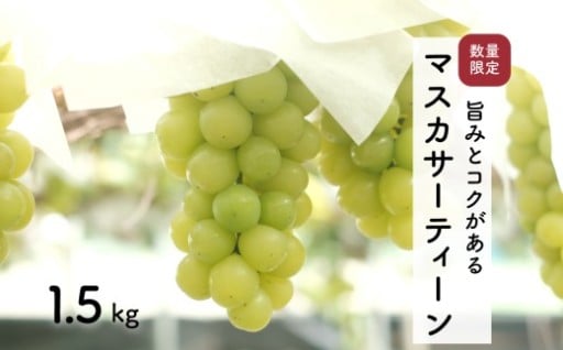 お申し込み受付期間終了まで、残り7日！