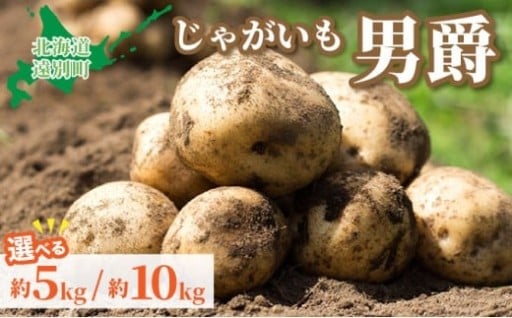 ＜選べる容量＞【2025年産】遠別産 じゃがいも（男爵約5~10㎏）※2025年9月上旬より出荷※