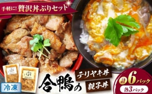 専門店の味！合鴨の旨味たっぷり！ 親子丼・テリヤキ丼
