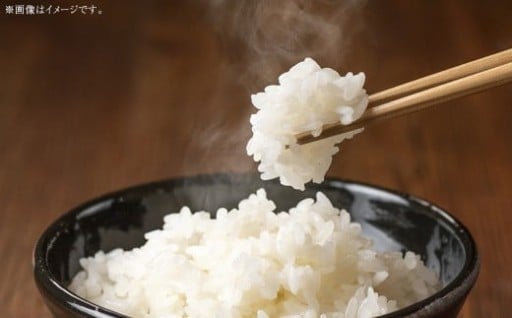 岡山県 美咲町産 きぬむすめ 5kg 令和7年産米先行予約
