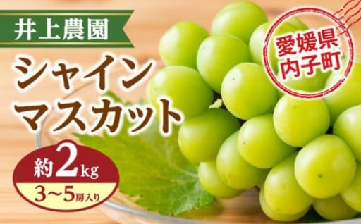 井上農園のシャインマスカット【約2kg　3～5房入り】